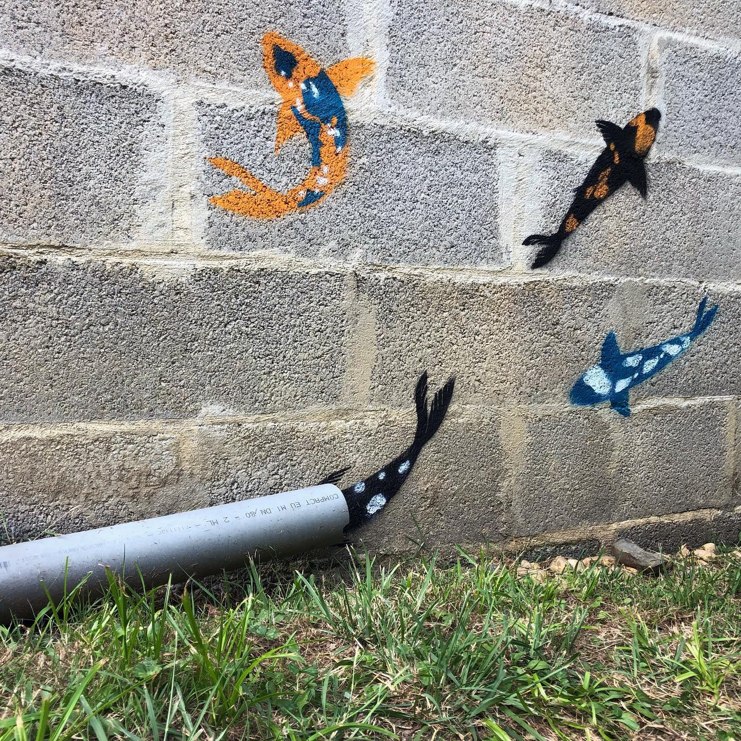Poisson peint au pochoir entrant dans un tuyau au pied d’un mur